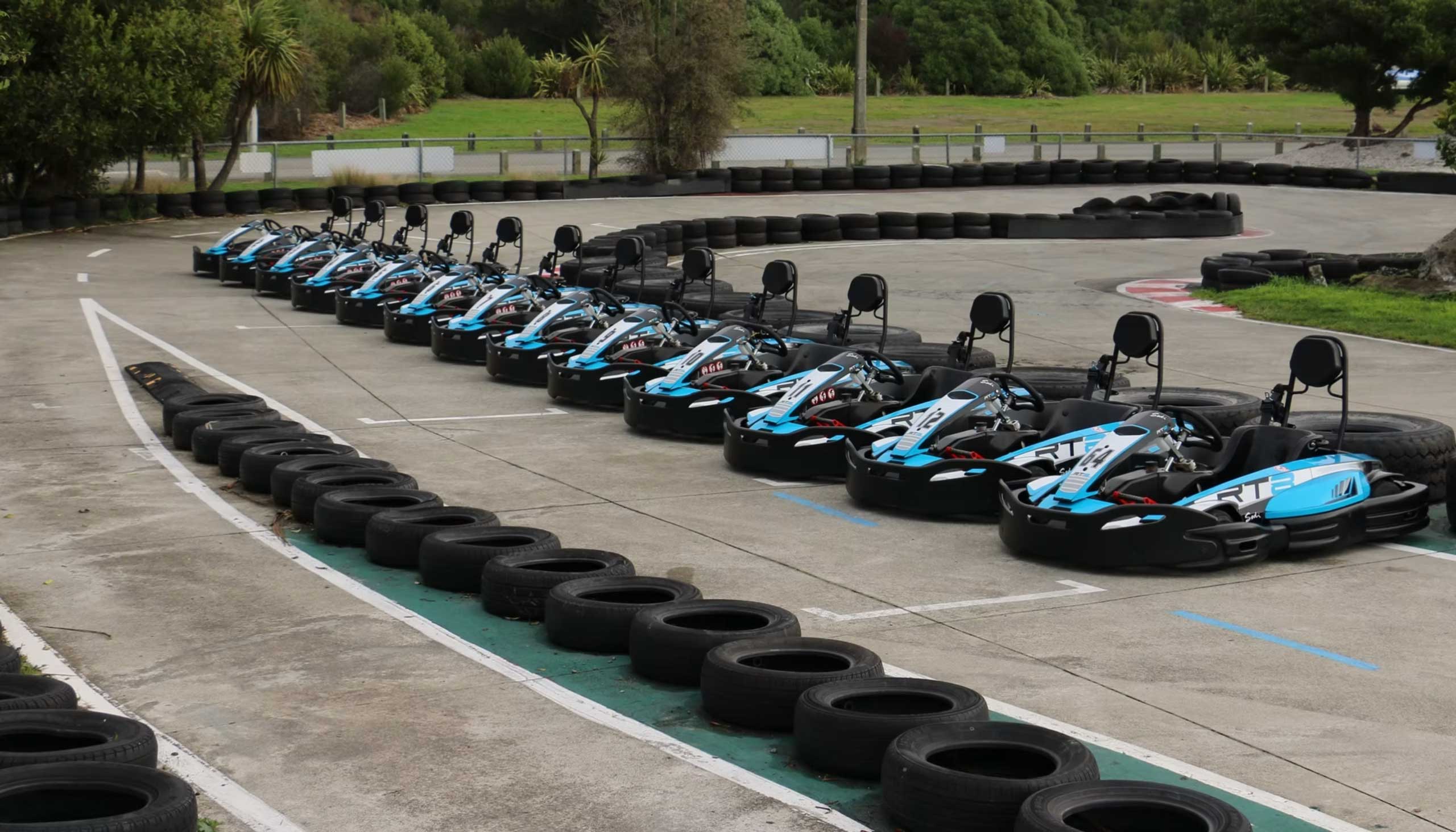 Pro Karts Nelson